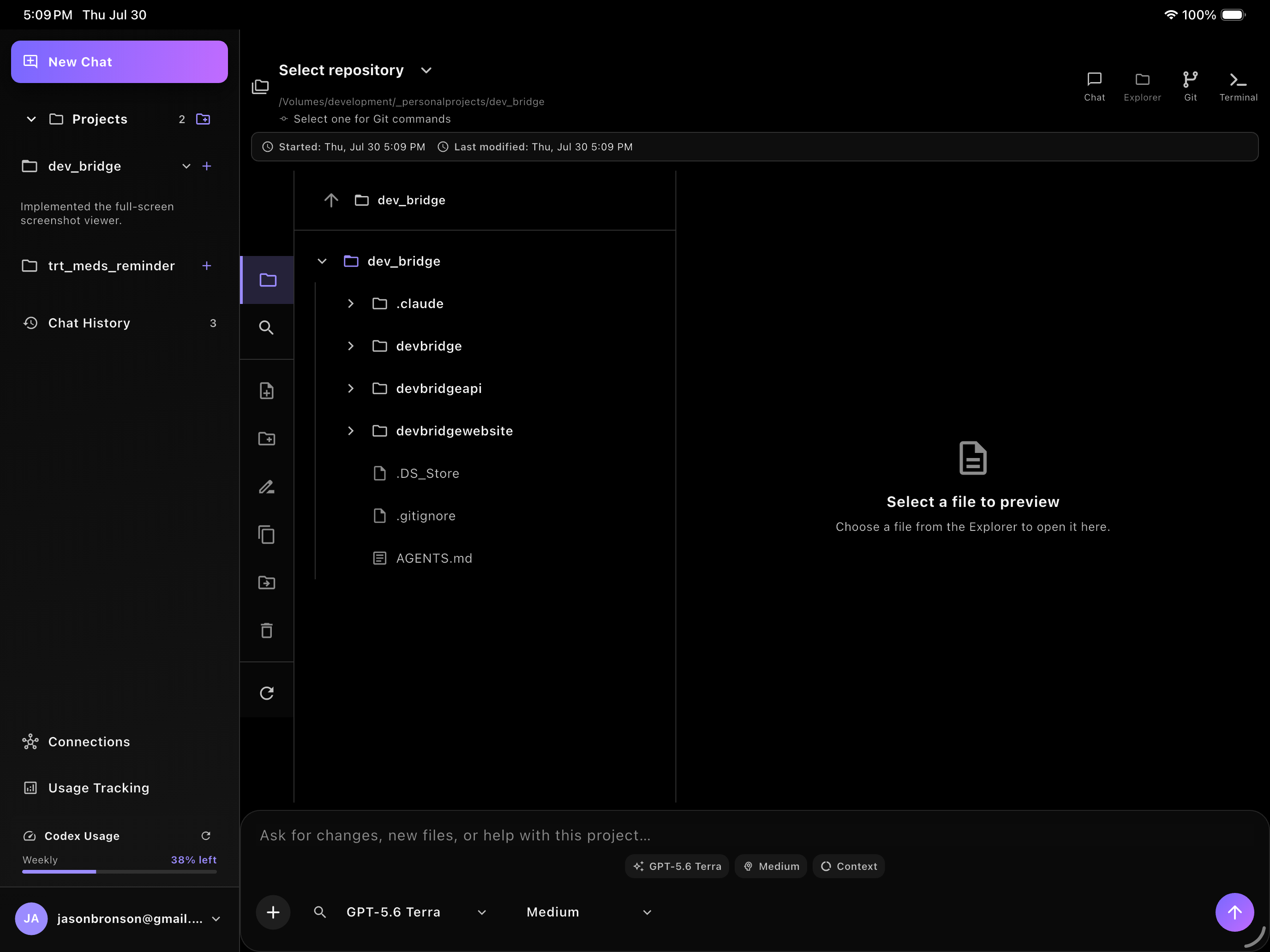 DevBridge file explorer showing a project repository tree